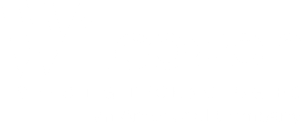 Wilcoxon Sensing Technologies