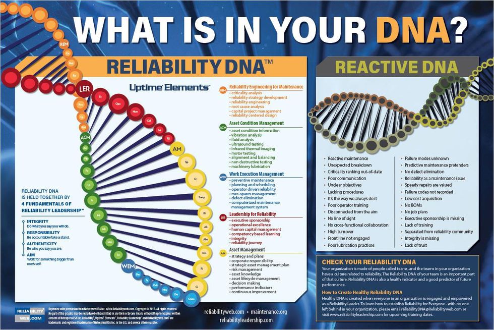 What Is In Your DNA?