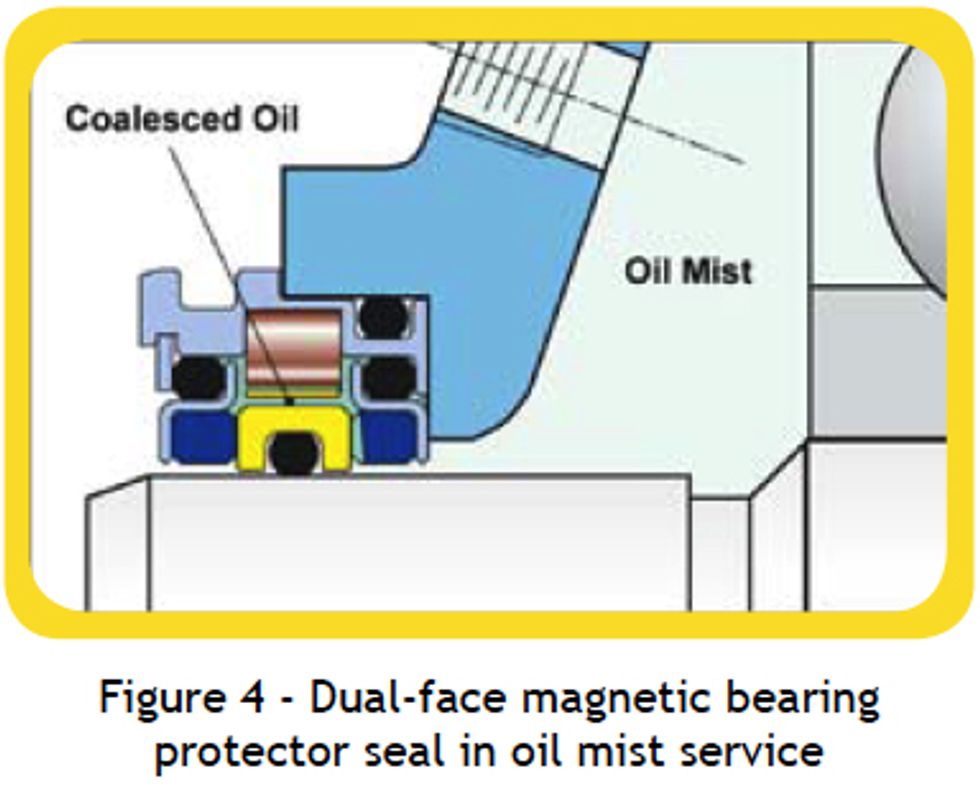 Dual Face Magnetic Bearning Protector
