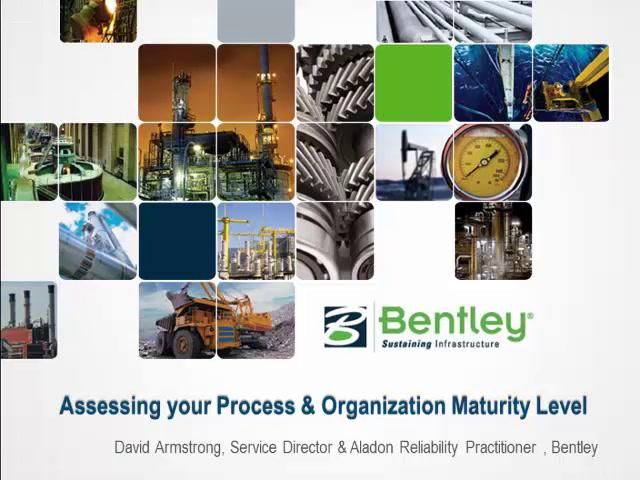 Assessing Your Asset Management Process & Organization Maturity Level