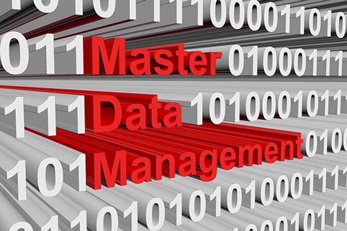 Master Data Management