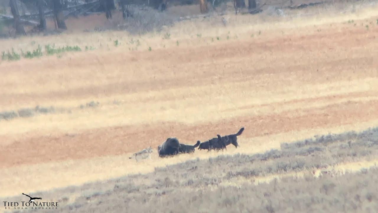 The Power of Cross-Functional Collaboration