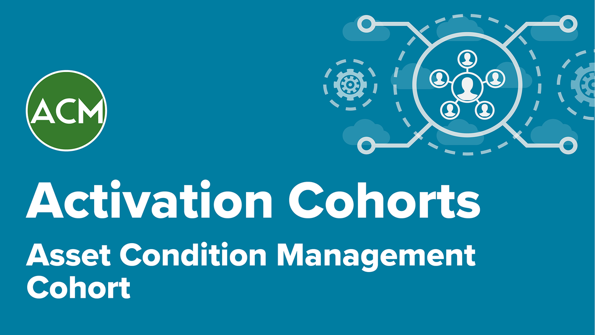 Asset Condition Management [ACM] Activation Cohort