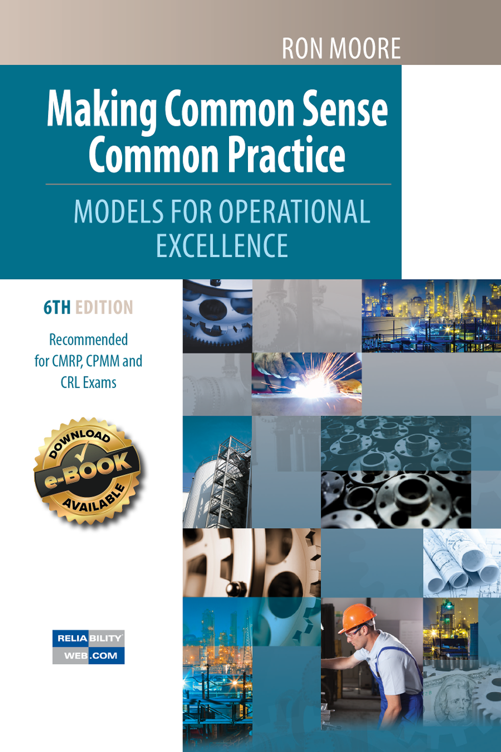 Making Common Sense Common Practice Models for Operational Excellence (6th Edition)