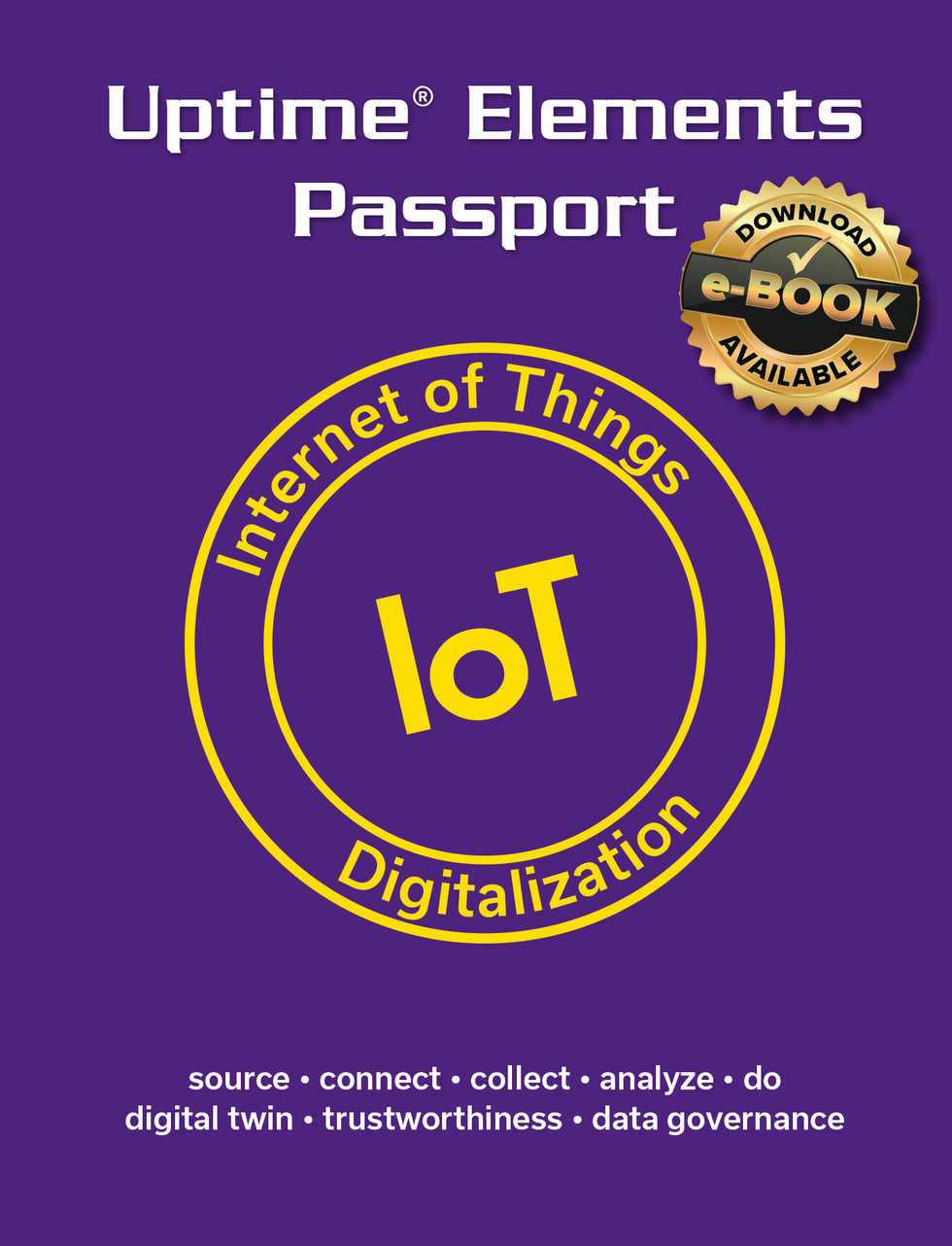 IoT Knowledge Domain and Digitalization Strategy Framework